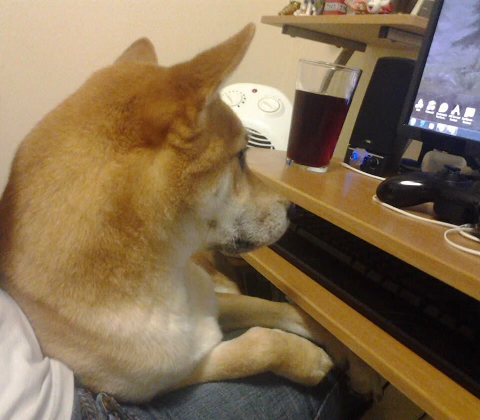 爱游戏app-跨界合作促使电竞行业迈向多元化发展，电竞跨商是什么意思