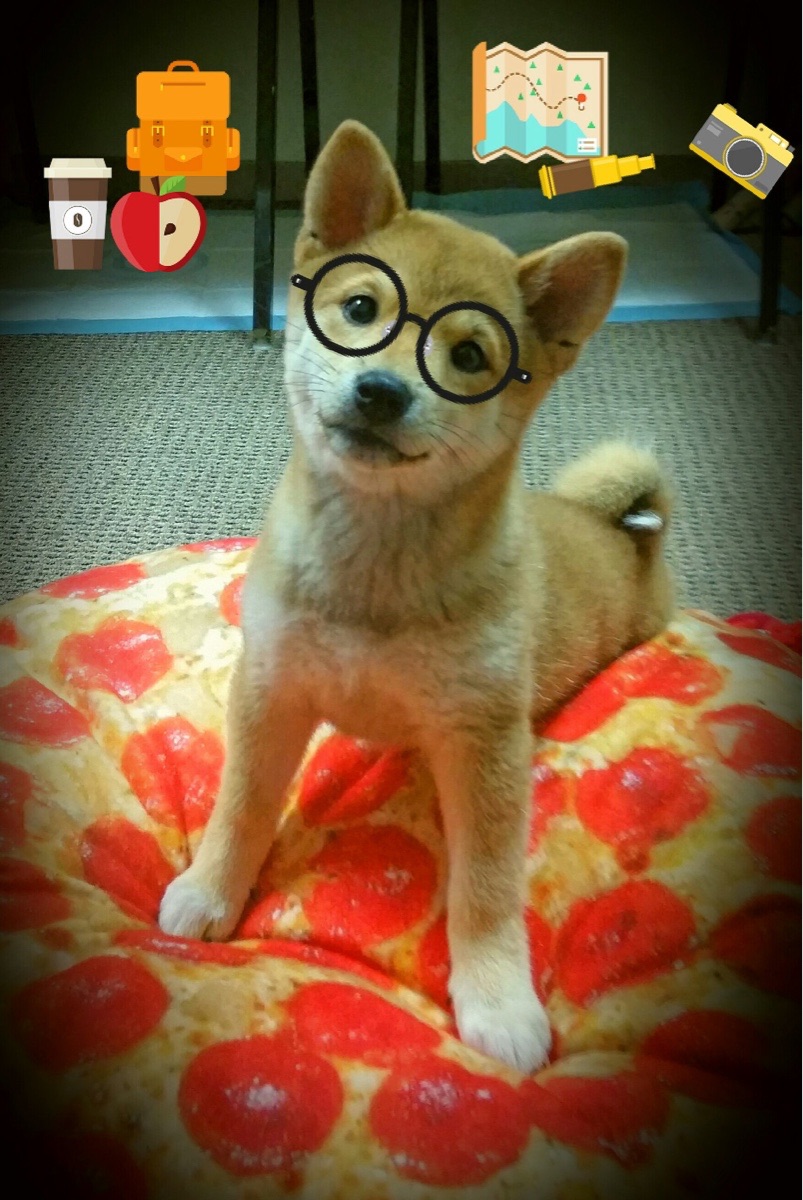 爱游戏平台-青训崛起：未来之星如何快速成长？，未来之星在哪