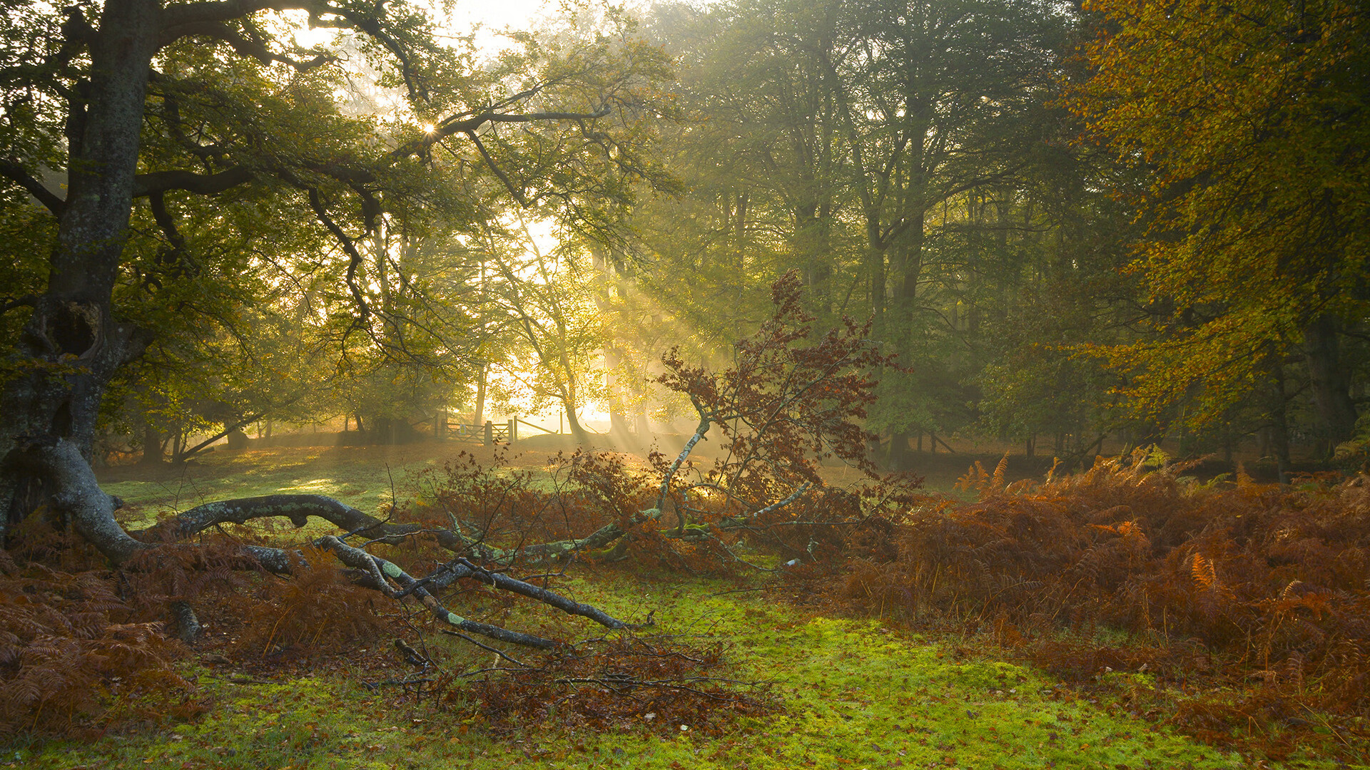 爱游戏平台-Astralis 与 Esportal 合作，提升 CS_GO 体验，csgoastralis战队