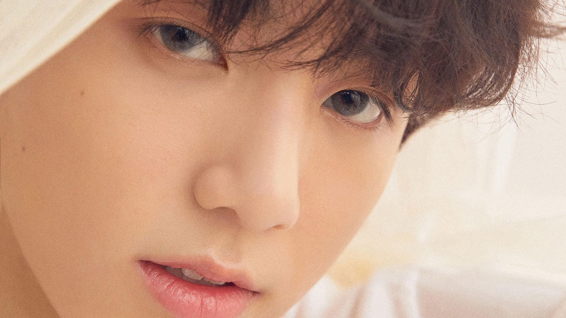 爱游戏综合娱乐-卡迪夫城锋线组合稳定，蓝鸟军团继续高飞，卡迪夫和蜂鸟选择