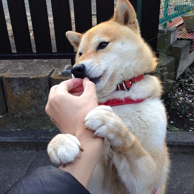 塞内加尔男足在巴黎奥运会上获得银牌,创历史,奥运会塞内加尔出场