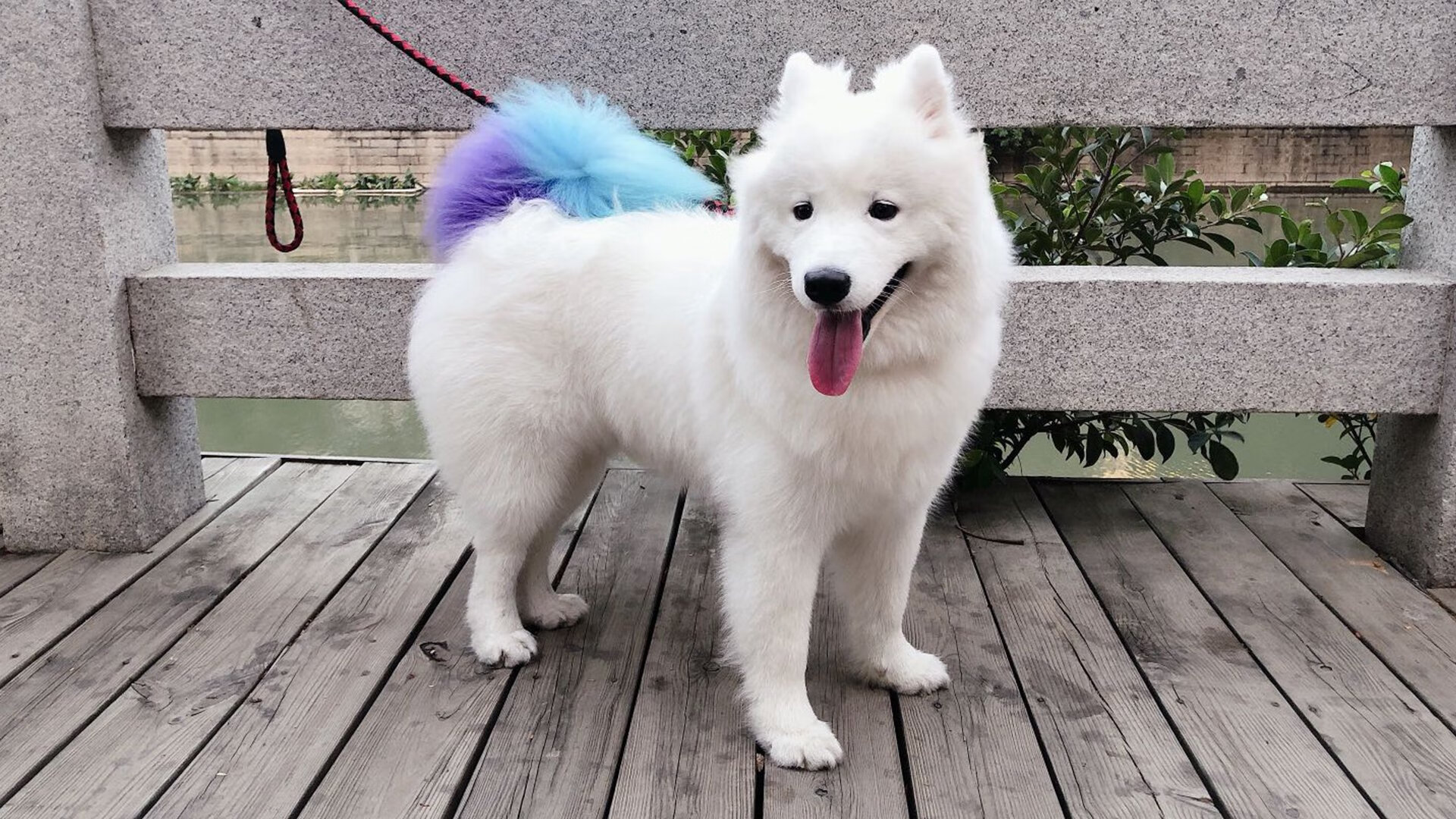 托尔去客场取胜,展现出强队的气质,托尔介绍