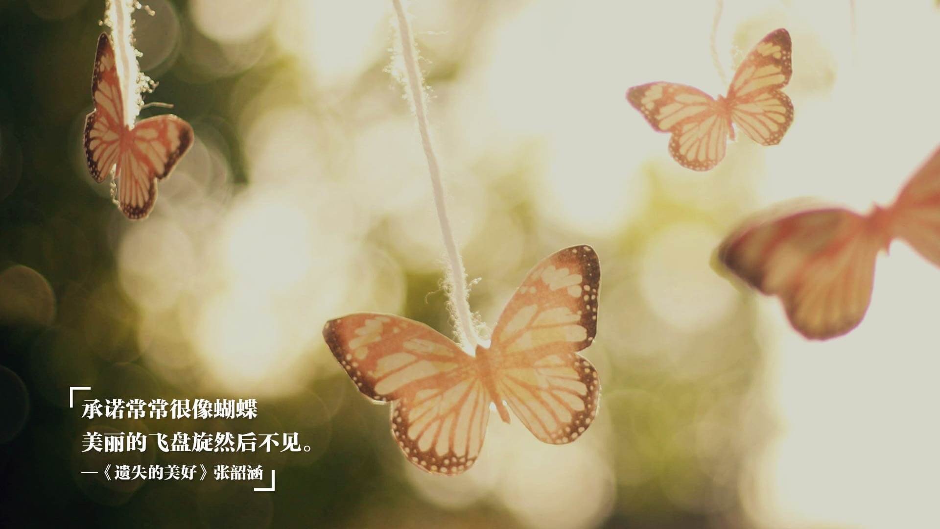 横滨水手冲击J联赛冠军，横滨水手参加亚冠