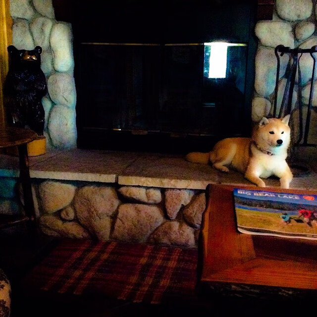 热刺主场被切尔西逆转,争四形势严峻,热刺切尔西比赛结果