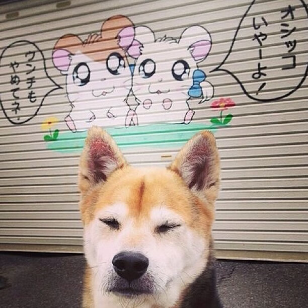 爱游戏体育-球员伤愈复出，带领球队连胜追逐冠军，球员伤病对球员的影响