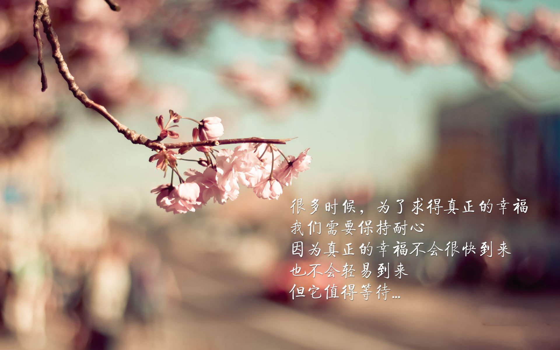 瑞典战队 Alliance 与丹麦战队 Fnatic 共同举办线上赛事,丹麦瑞典比赛