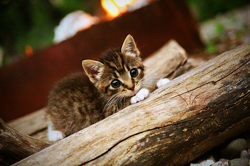 爱游戏体育官方网站-逆袭势头汹汹，迅速改写前途发展路径，改变发展方向