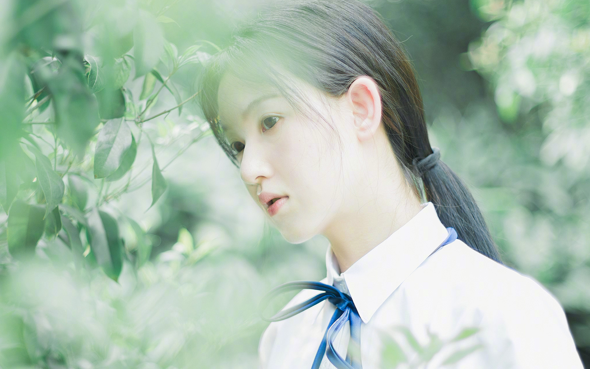 阿尔阿赫利主帅战术布置得当,阿尔阿赫利埃及