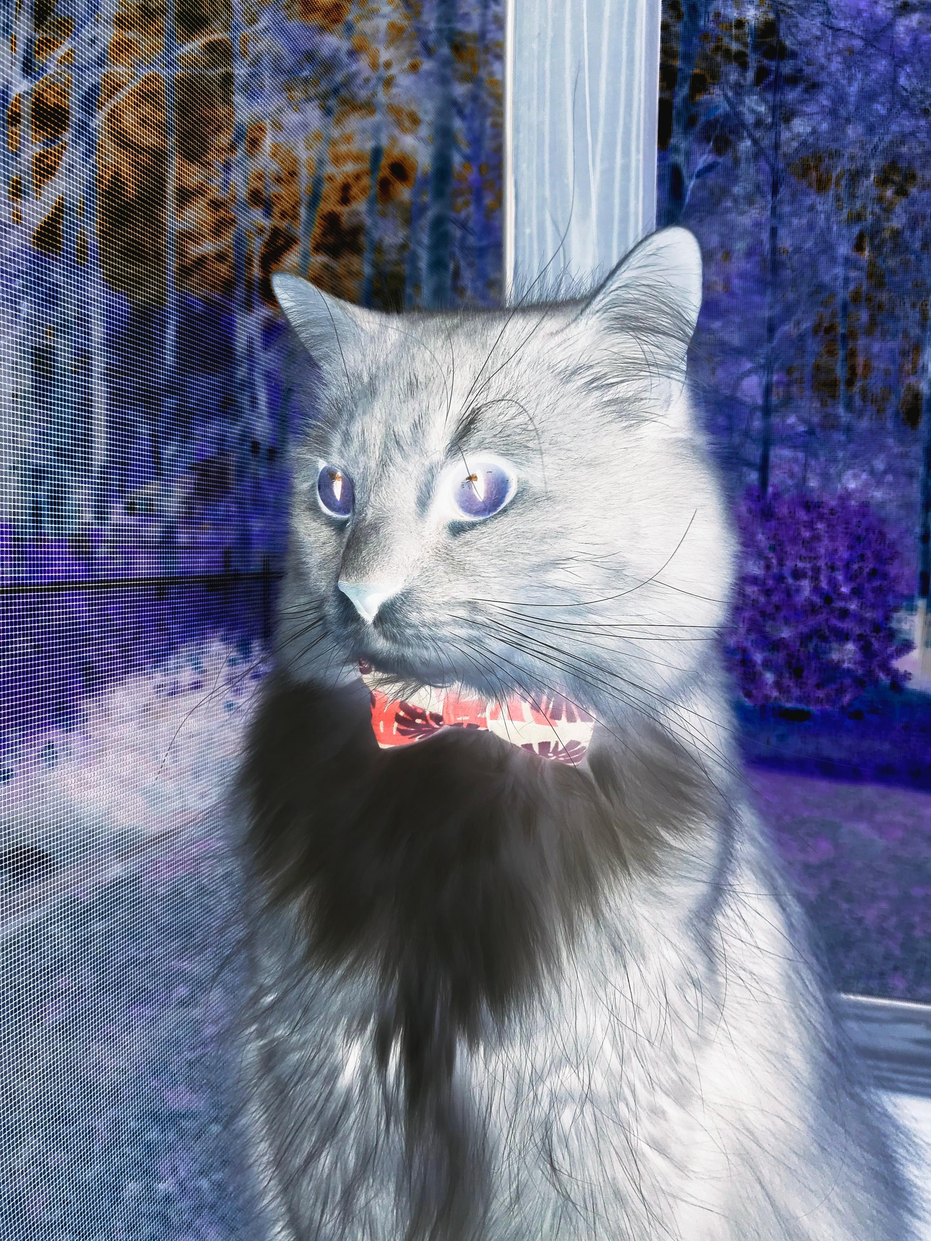 中国青少年篮球发展政策实施效果评估,青少年篮球发展现状及对策研究