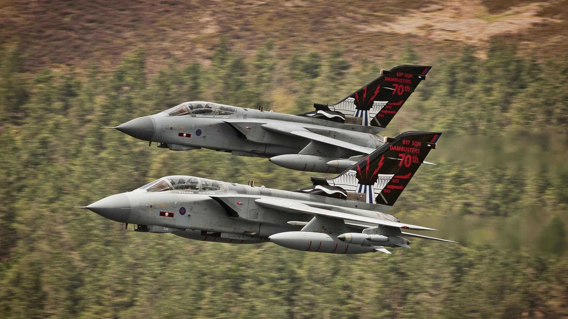 校园体育设施数字化管理系统设计与实践，体育数字化建设