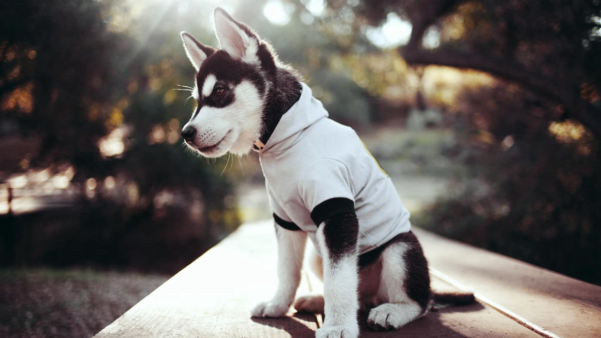 篮球比赛中战术变化对比赛结果影响的实证分析,篮球战术分析怎么写