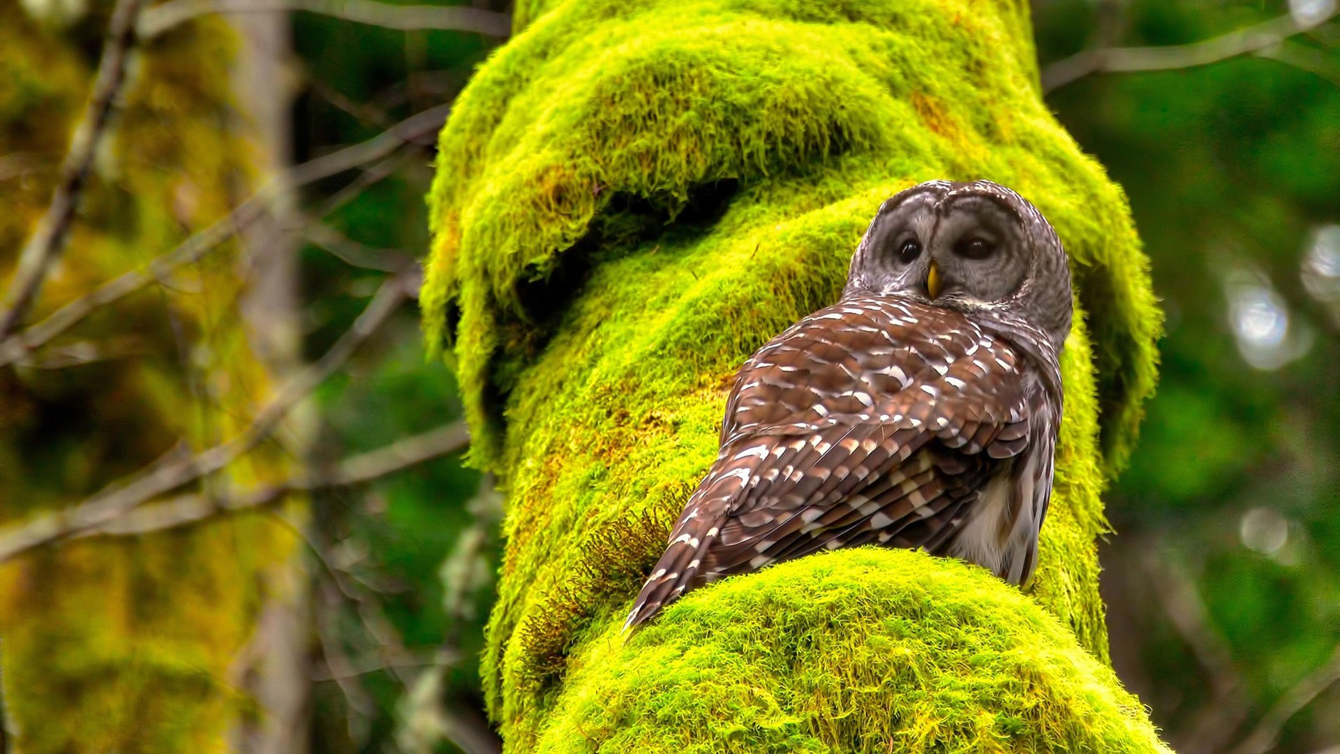 爱游戏娱乐网址-国际热身赛U23国足冲击 技术能力获关注，u22热身赛