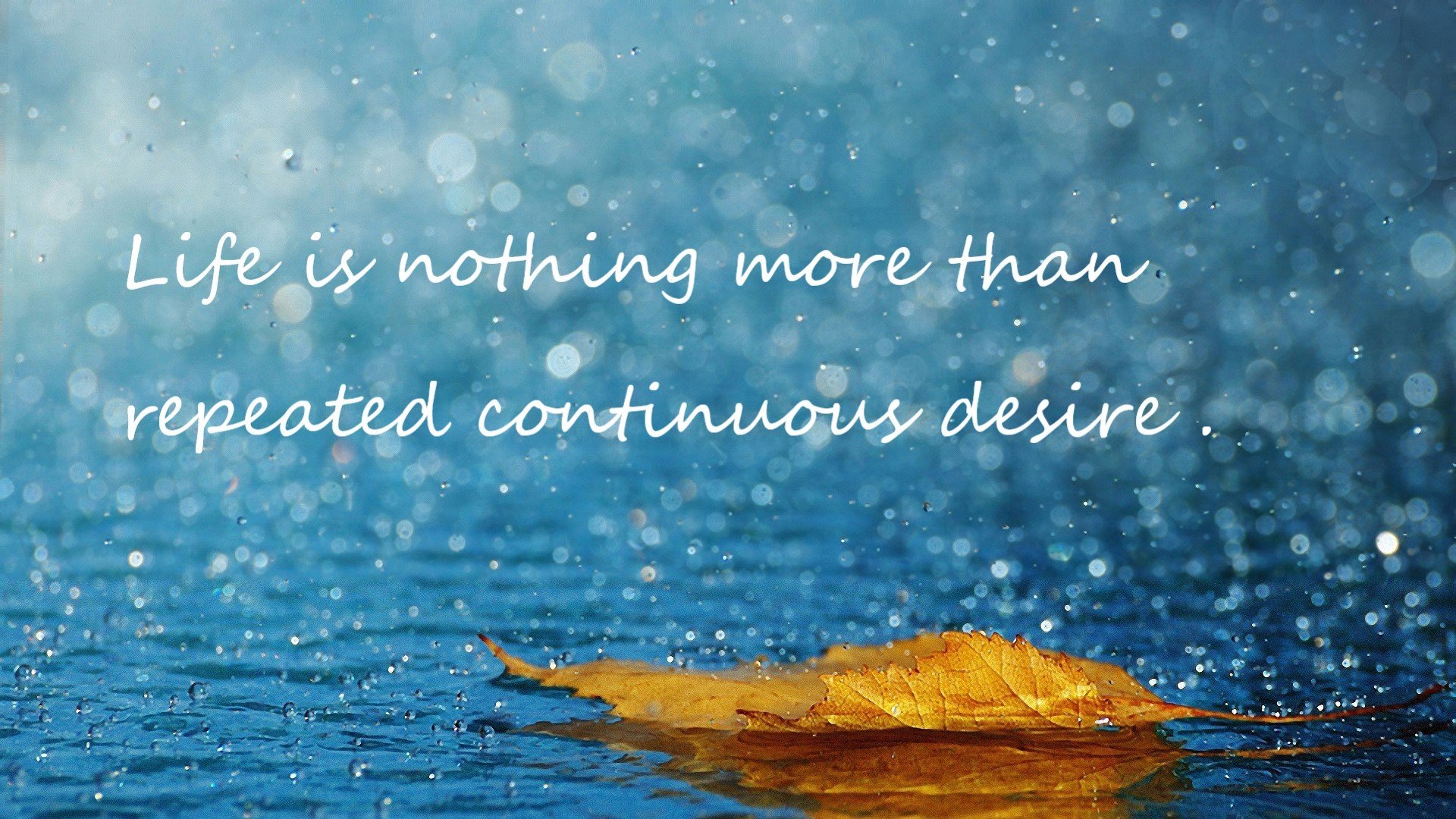 爱游戏-波兰队在国际乒联混合团体世界杯中的精彩表现回顾，波兰乒乓名将