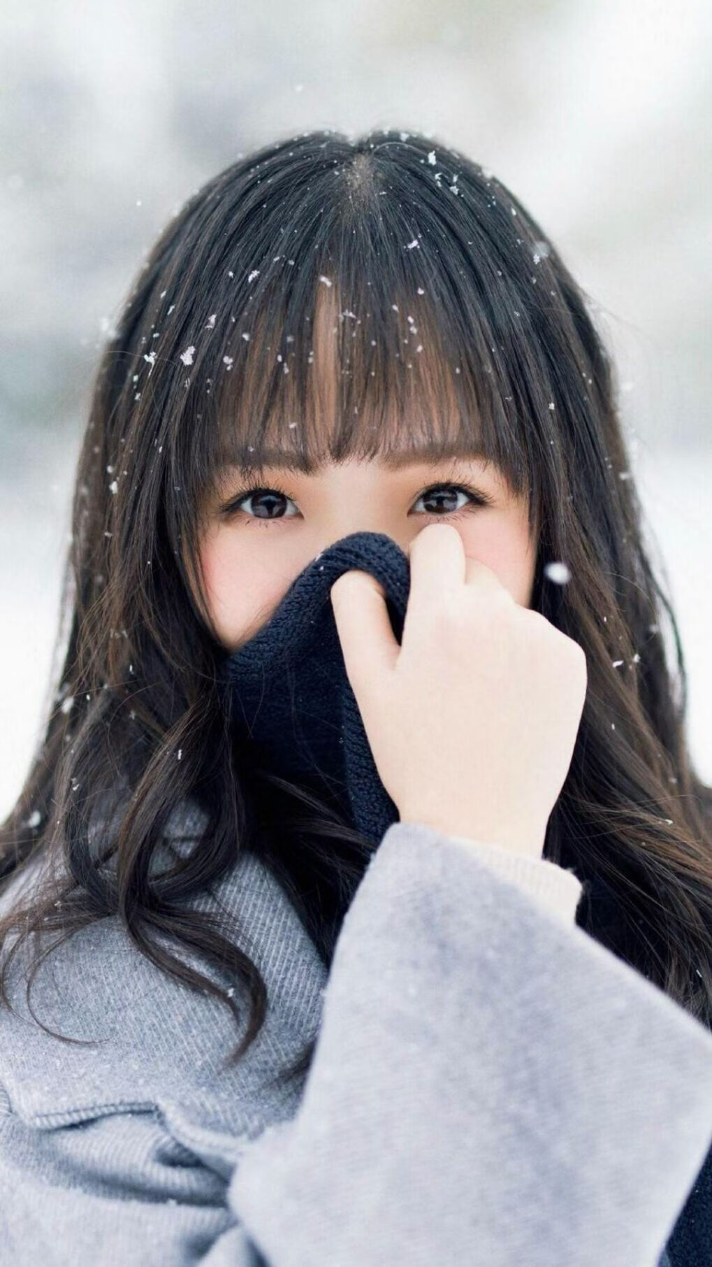 波兰队赛制分析:如何在赛制中应对强敌的挑战,波兰联赛水平