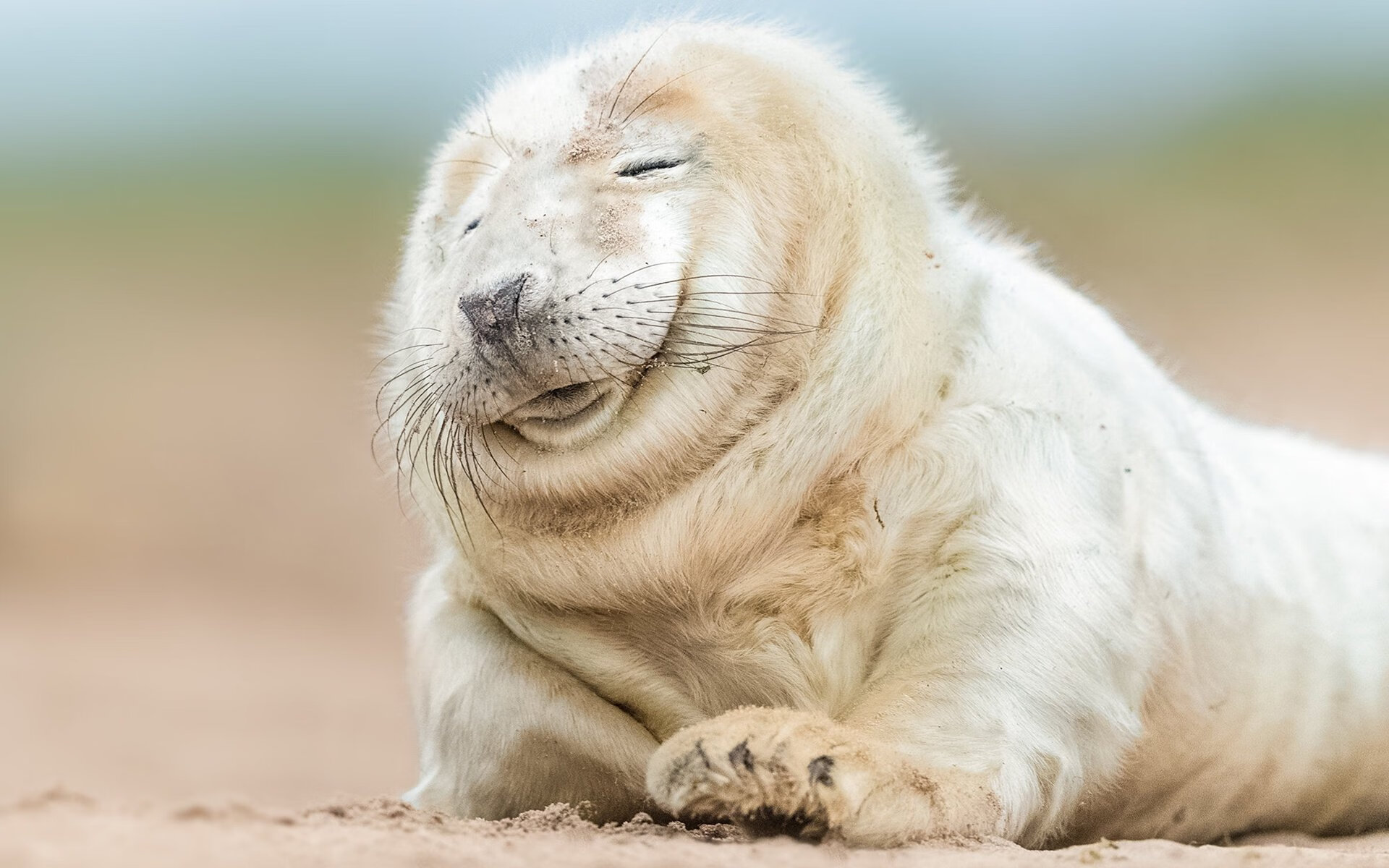 球员是否能通过节奏改变自身投篮手感,投篮节奏训练