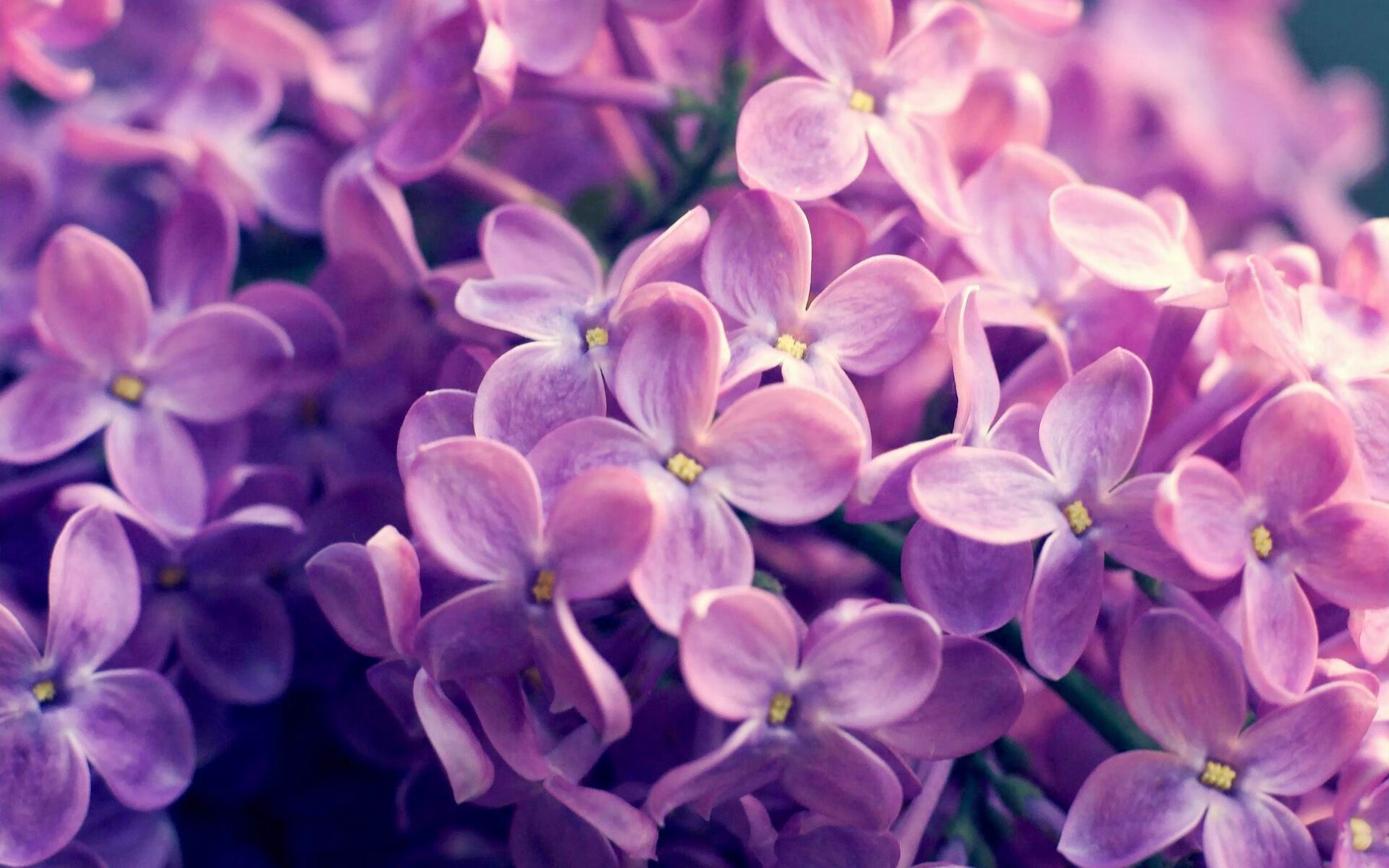 AYX SPORTS-CBA球队公开训练课现场爆满球迷热情点燃全场氛围，cba训练视频