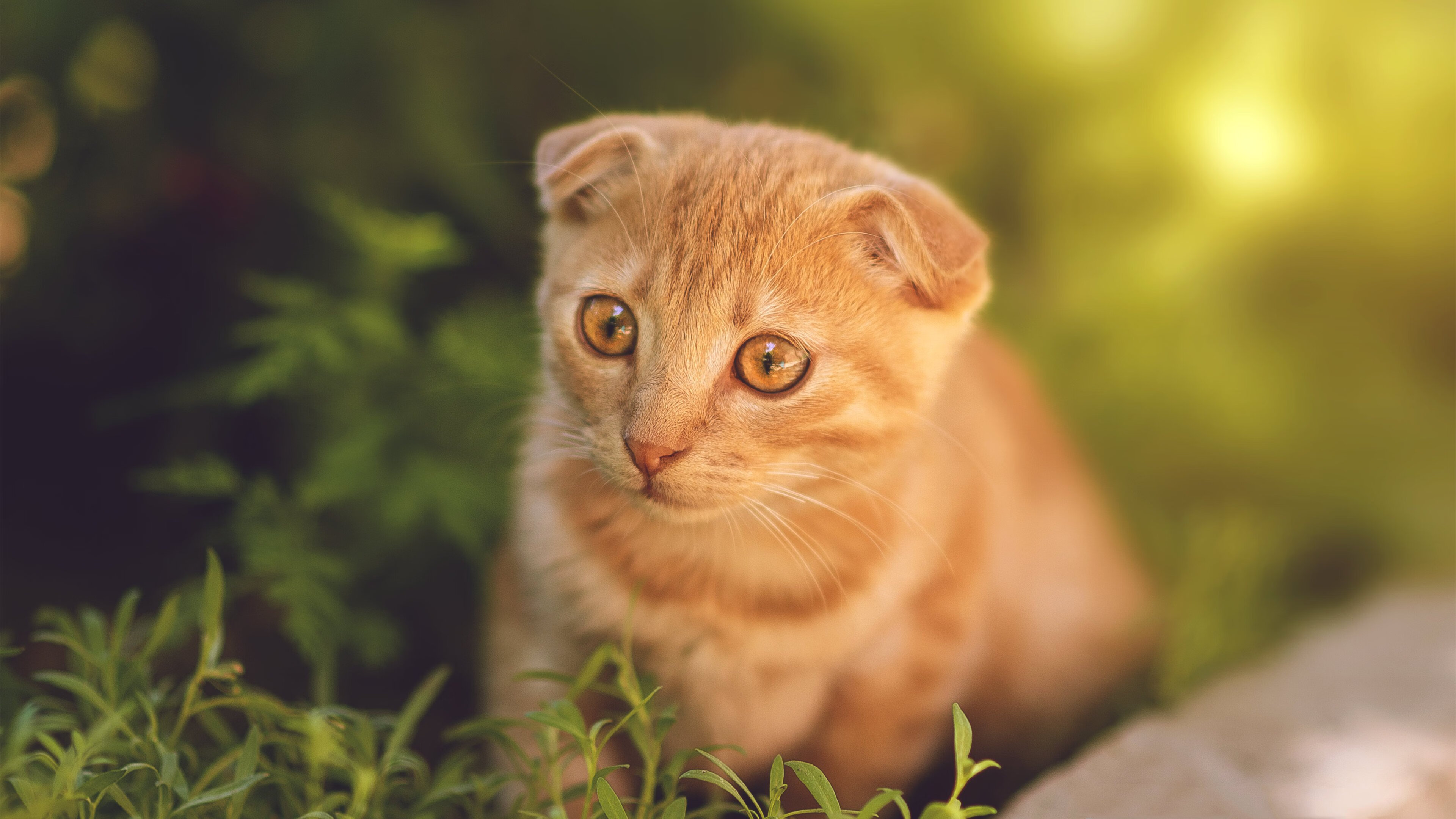 爱游戏中国官方网站平台-世界杯豪门争霸：那些令人动容的瞬间，世界杯豪华阵容