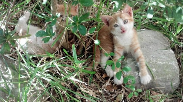 爱游戏app下载-哈登半场助攻上双快船组织效率提升，哈登vs快船集锦