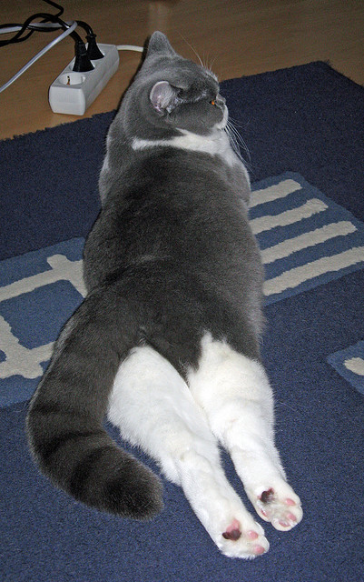 威少展现组织能力助队完成逆转,威少助攻能力