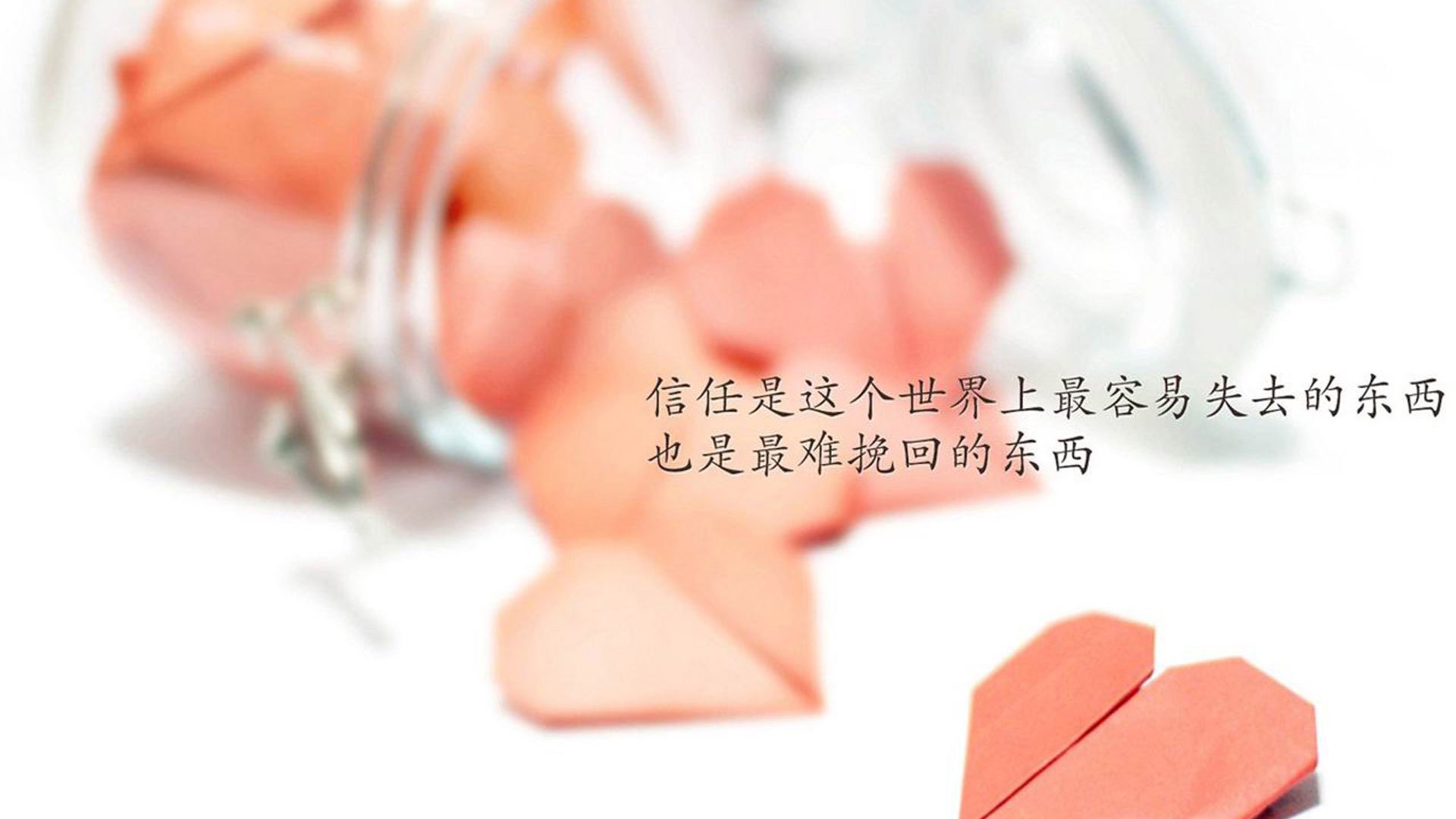 新西兰全黑队凭借精准传球频频撕开对方防线,橄榄球新西兰全黑队对澳大利亚队