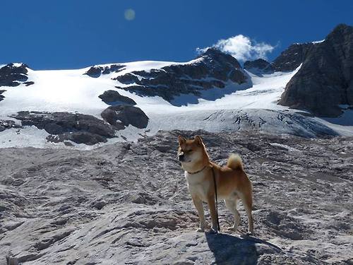格鲁吉亚女篮在欧洲锦标赛中夺冠,开启新历史,格鲁吉亚篮球运动员