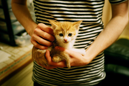 格鲁吉亚女篮在欧洲锦标赛中夺冠,开启新历史,格鲁吉亚篮球运动员