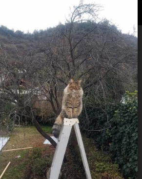 爱游戏娱乐-欧洲杯劲敌对抗：攻防大战中的技术展示，欧洲杯对战分析