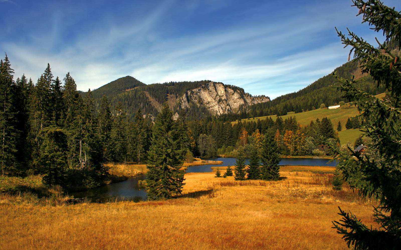 比利时男篮在欧洲预赛中拼搏到底，向奥运奖牌发起冲击，比利时男篮国家队