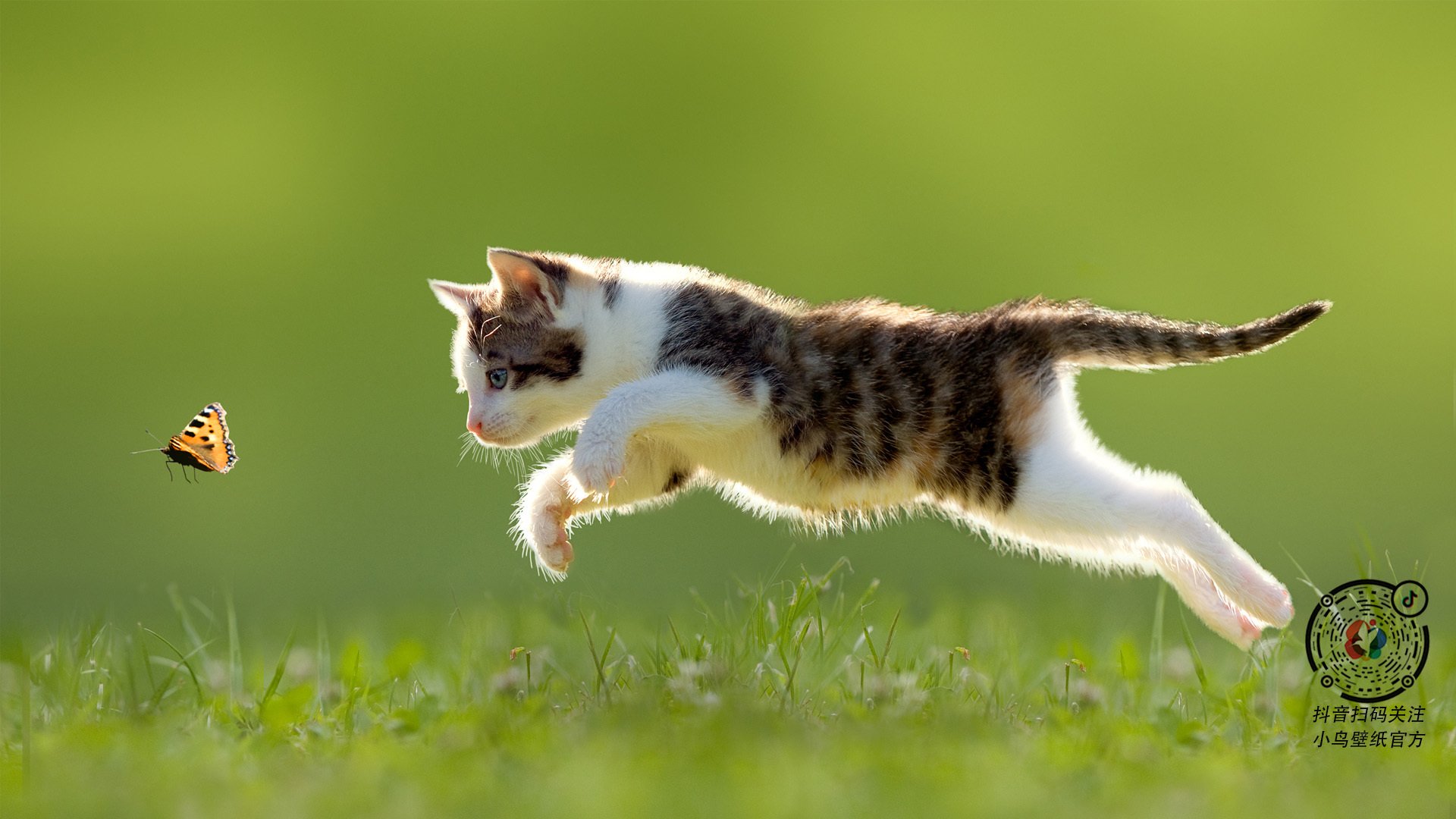 比利时男篮在欧洲预赛中拼搏到底，向奥运奖牌发起冲击，比利时男篮国家队