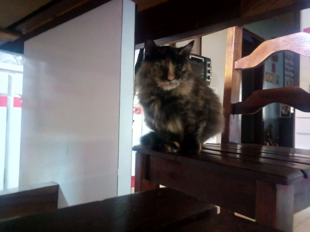 爱游戏娱乐网址-美洲杯激情夜：个人英雄主义的完美展现，美洲美洲杯