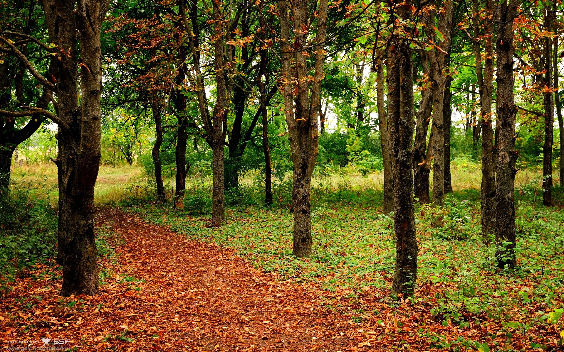 英超冲刺激烈：胜负悬念在最后一秒！，英超hull